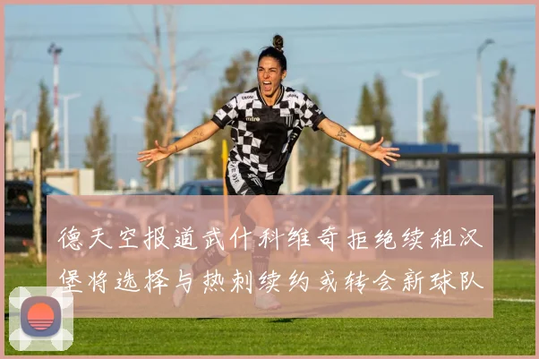 德天空报道武什科维奇拒绝续租汉堡将选择与热刺续约或转会新球队